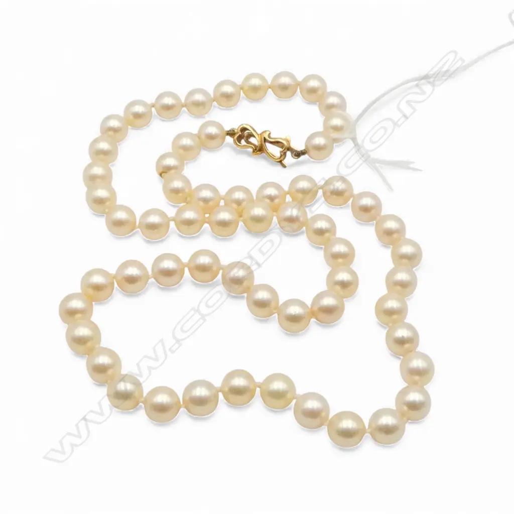QUALITY CULTURED PEARL NECKLACE champagne tones 18ct YELLOW GOLD CLASP L.420mm  Image 1++