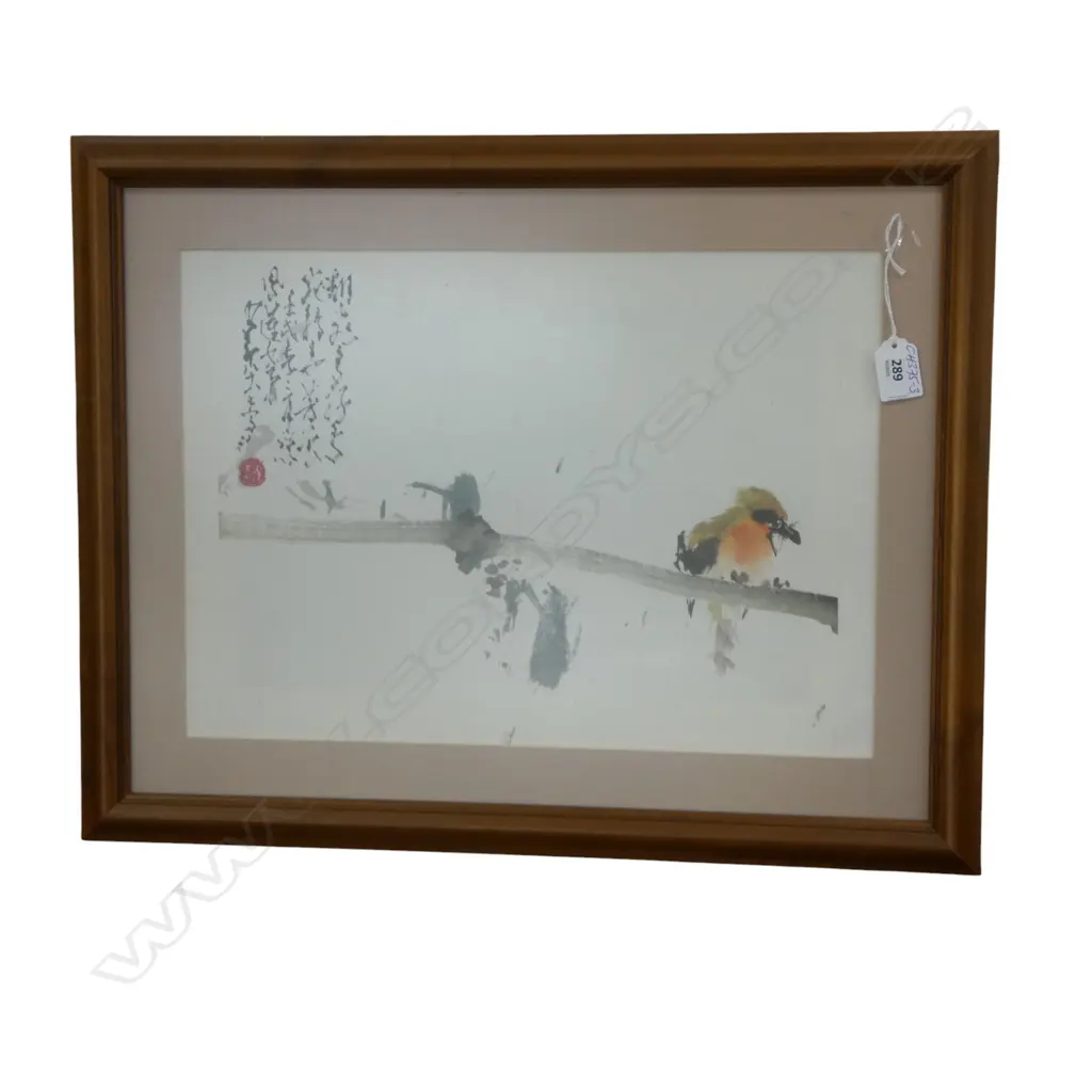 CHINESE WATERCOLOUR BIRD ON BRANCH calligraphic signature 300 x 370mm framed under glass Image 1++