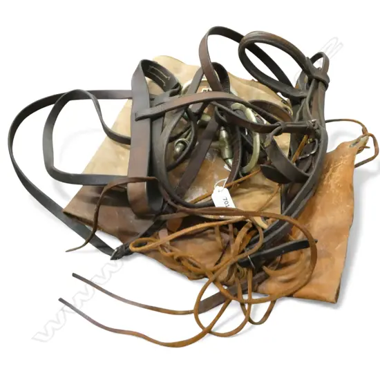 VINTAGE PONY BRIDLE & PR VINTAGE LEATHER CHAPS L550MM