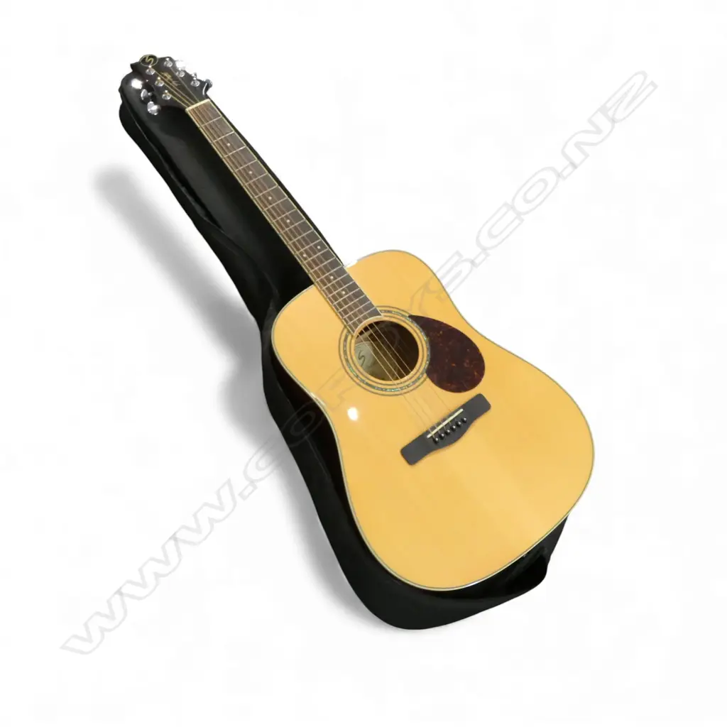 CASED GUITAR; 'GREG BENNETT' AMERICAN DESIGN MADE IN INDONESIA H.1040mm Image 1++