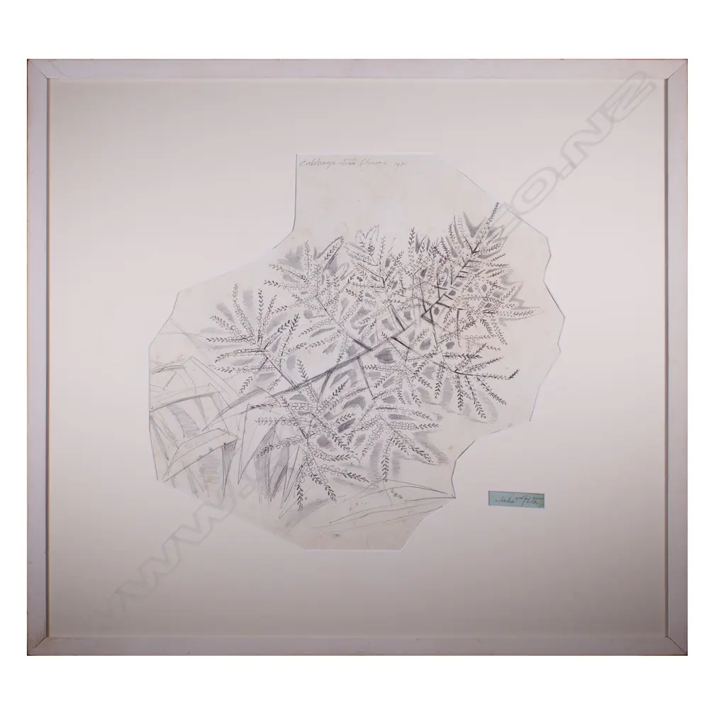 Juliet Peter (1915-2009) Cabbage Tree Flower 1981 Image 1++