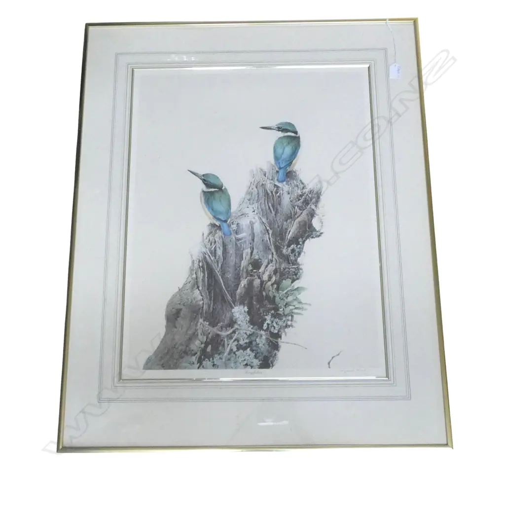 RAYMOND CHING 'KINGFISHERS' PRINT 657/850 660x510mm FOXING Image 1++