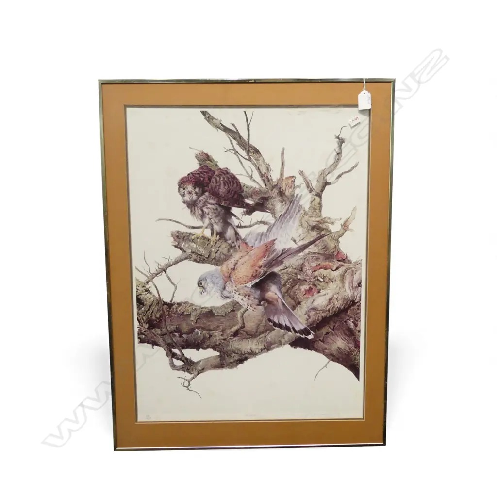 RAYMOND CHING, KESTRALS, EDITION PRINT 180/850, 850x490mm Image 1++