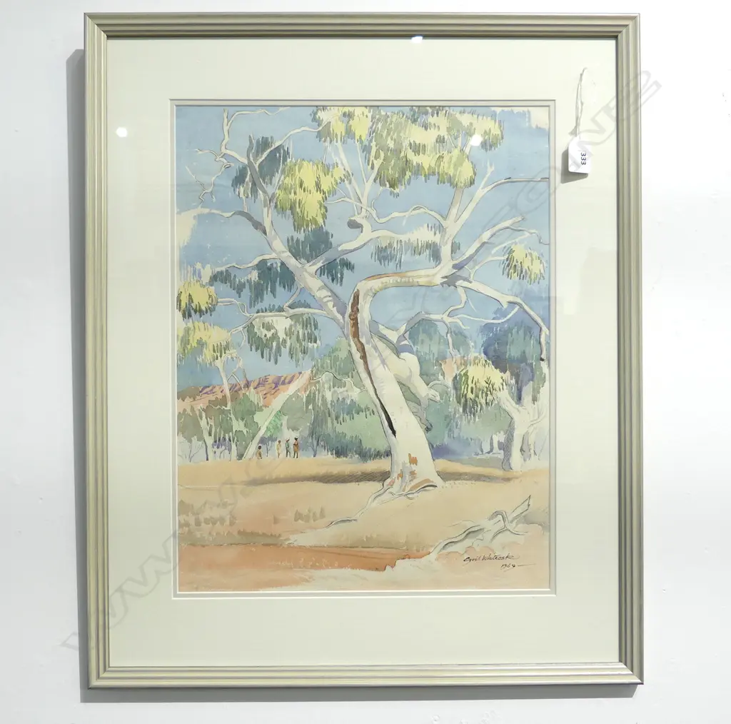 CYRIL WHITEOAK RIVER GUMS IN ROSS RIVER ALICE SPRINGS 1969 W/C 465 x 365mm Image 1++