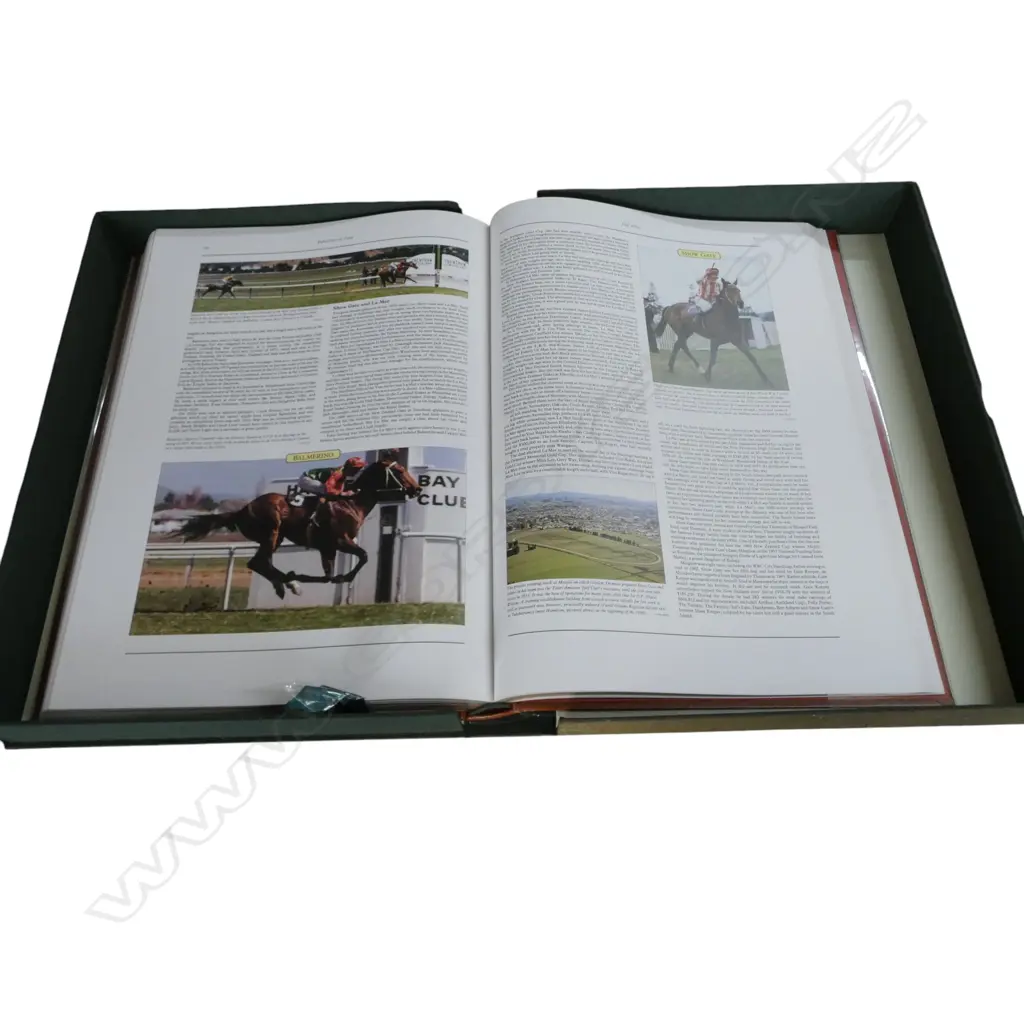 CASED COFFEE TABLE BOOK TAPESTRY OF TURF L570MM Image 1++