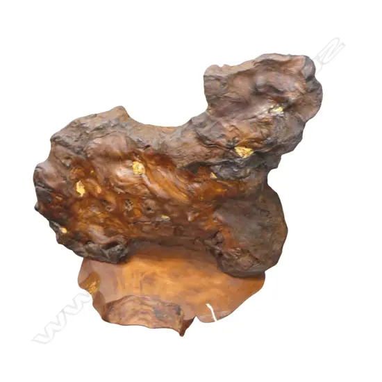 SWAMP KAURI SCULPTURE H.600mm