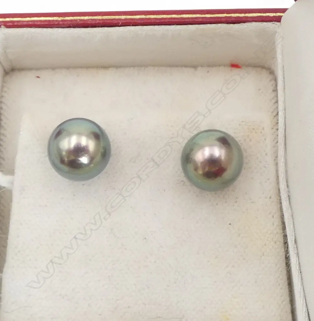 PAIR OF 14CT GOLD AND BLACK PEARL STUD EARRINGS Image 1++