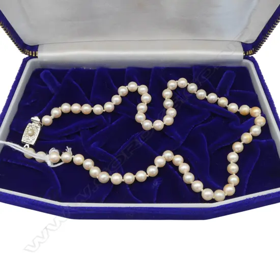 PEARL NECKLACE w. SILVER CLASP L.425mm IN NISHIMOTO CASE