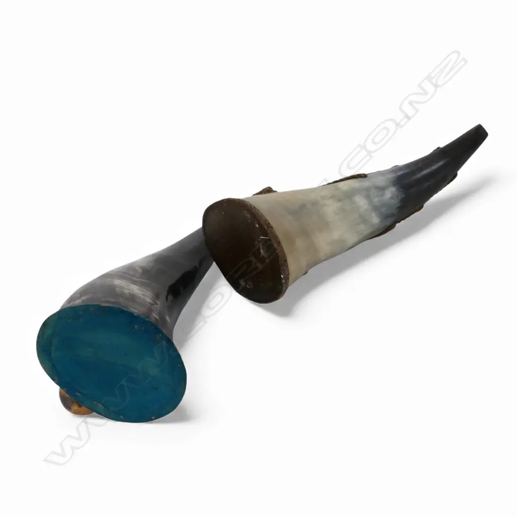2 BUFFALO HORN PIPES Image 1++
