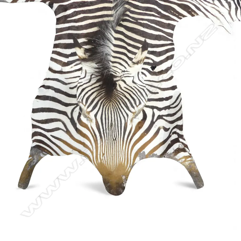 ZEBRA SKIN 3100x2400mm APPROX Image 1++