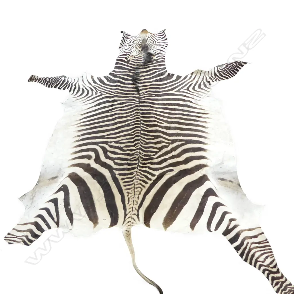 ZEBRA SKIN 3100x2400mm APPROX Image 1++