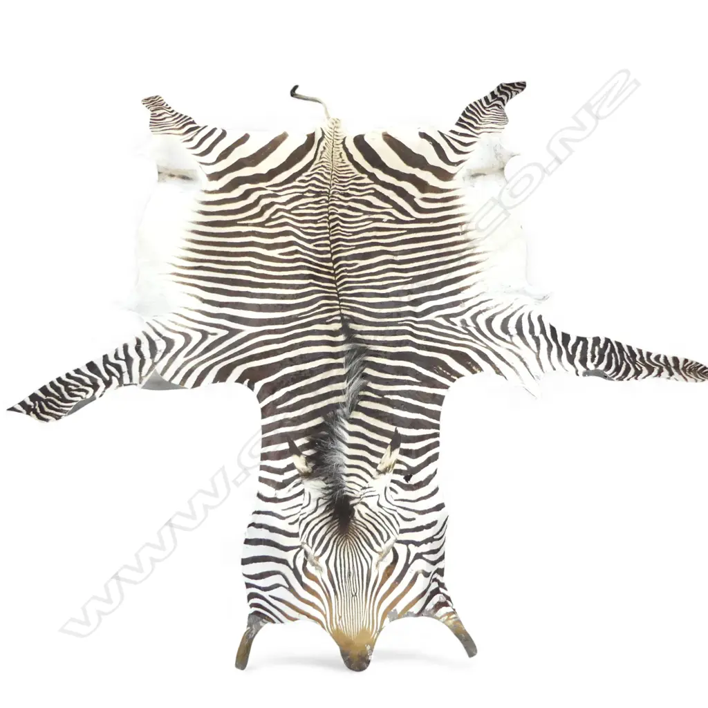 ZEBRA SKIN 3100x2400mm APPROX Image 1++