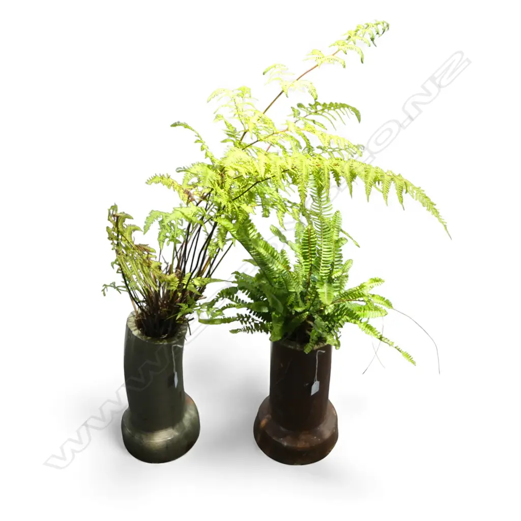 2 N.Z. COLONIAL PIPES w. PLANTED FERNS  Image 1++