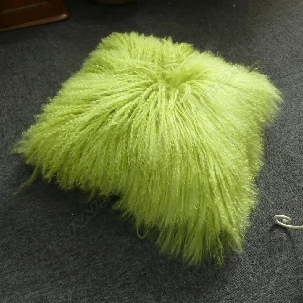 GREEN SHAG CUSHION  Image 1++