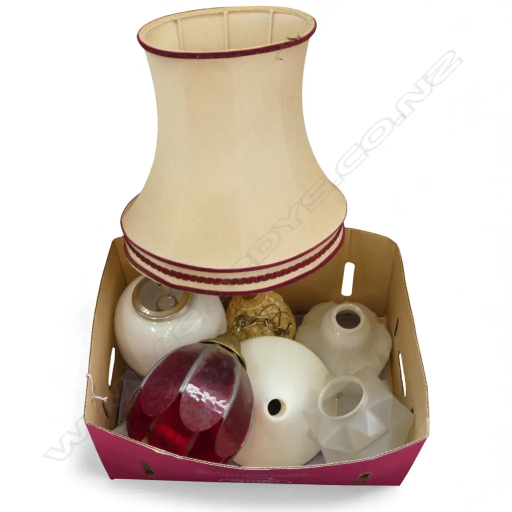 ASST. LIGHT SHADES  Image 1++