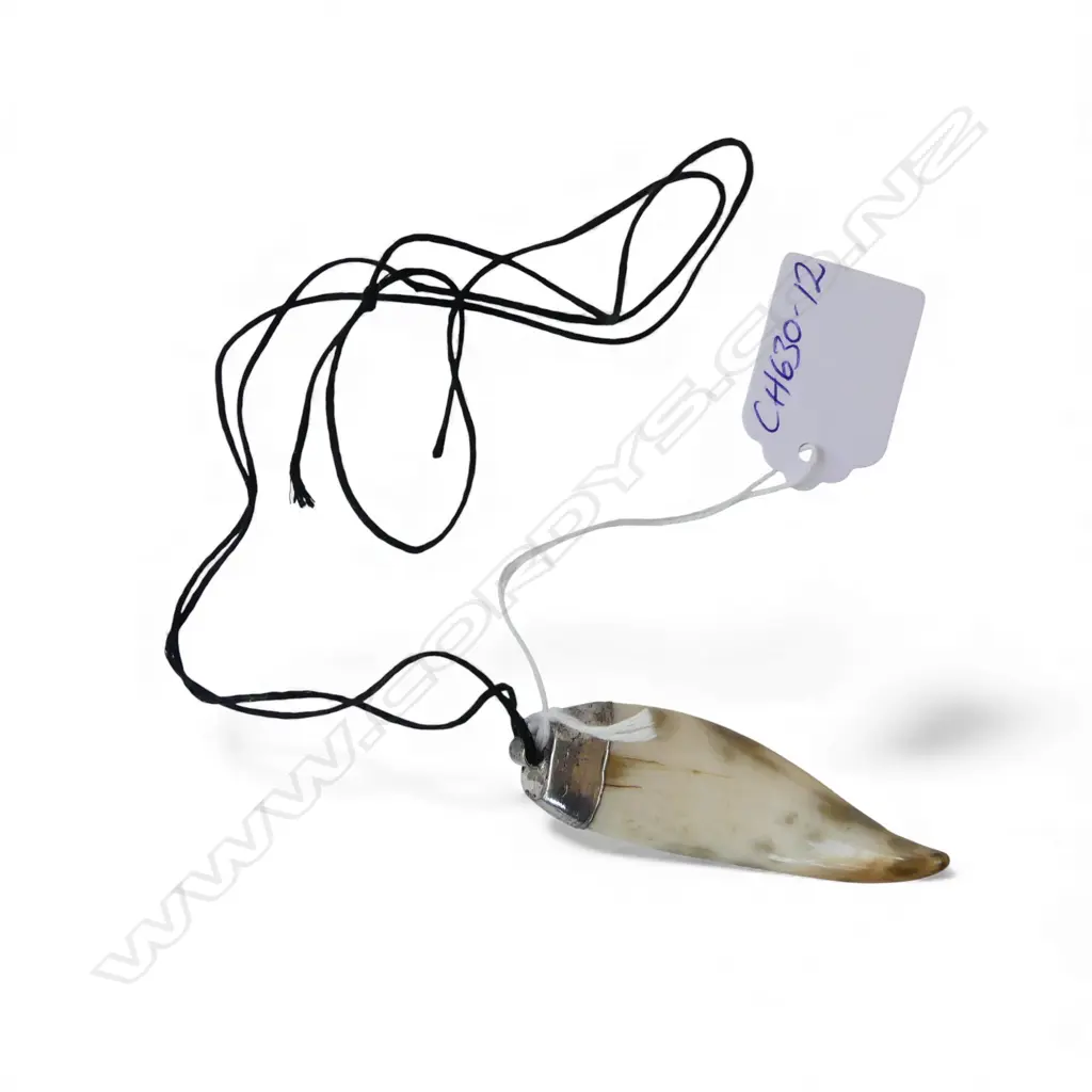 DAVID TUART CARVED small polished WHALES TOOTH PENDANT with mount. L.63mm Image 1++