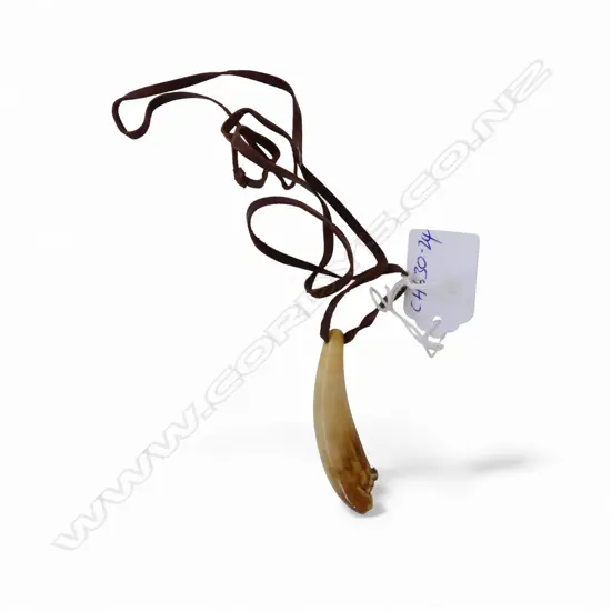 David Tuart small polished whale tooth pendant. Drilled suspension hole and with leather cord. Tooth length 61mm