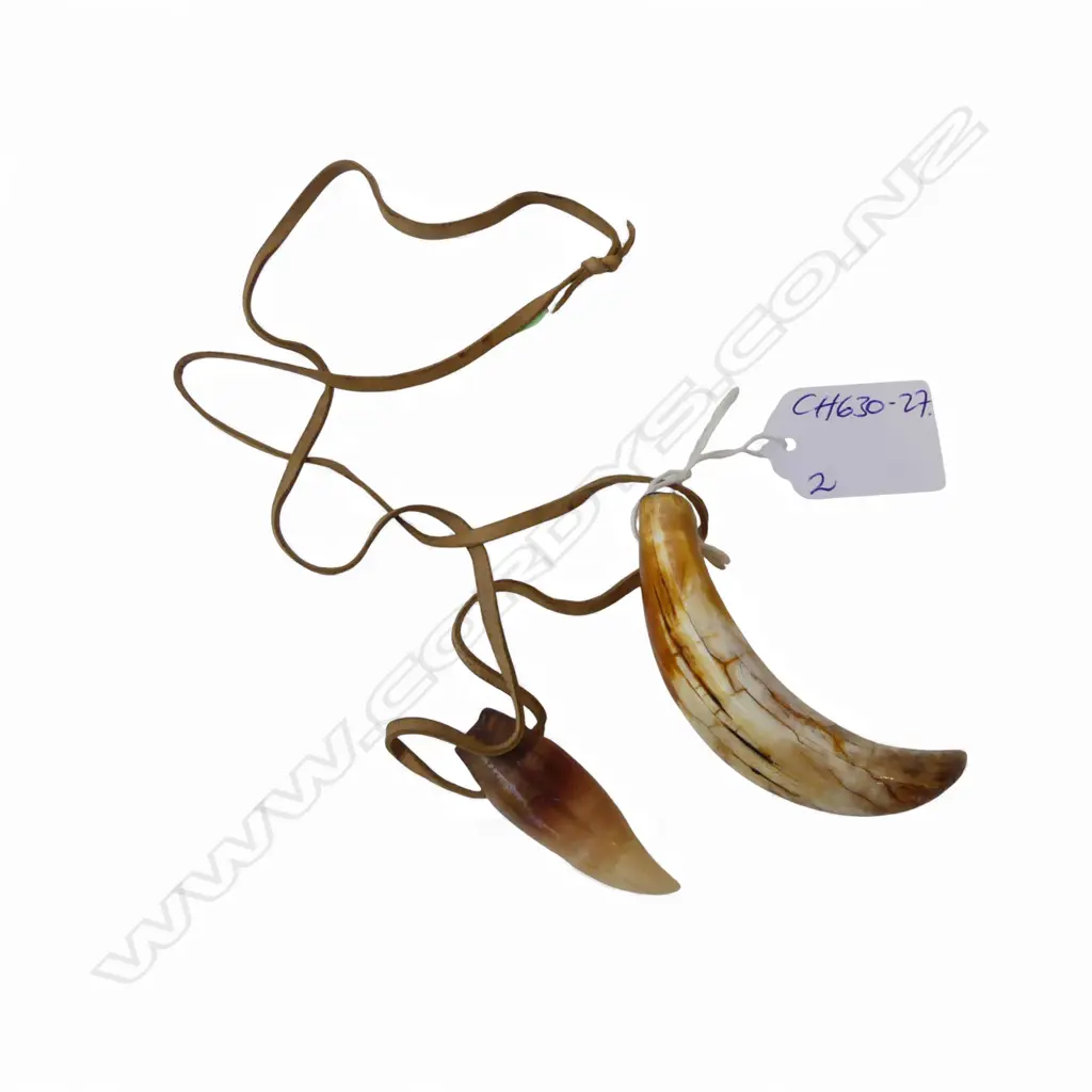 Two David Tuart small polished whale tooth pendants. Drilled suspension holes. 1 with acrylic filled end. L's.78 & 48mm Image 1++