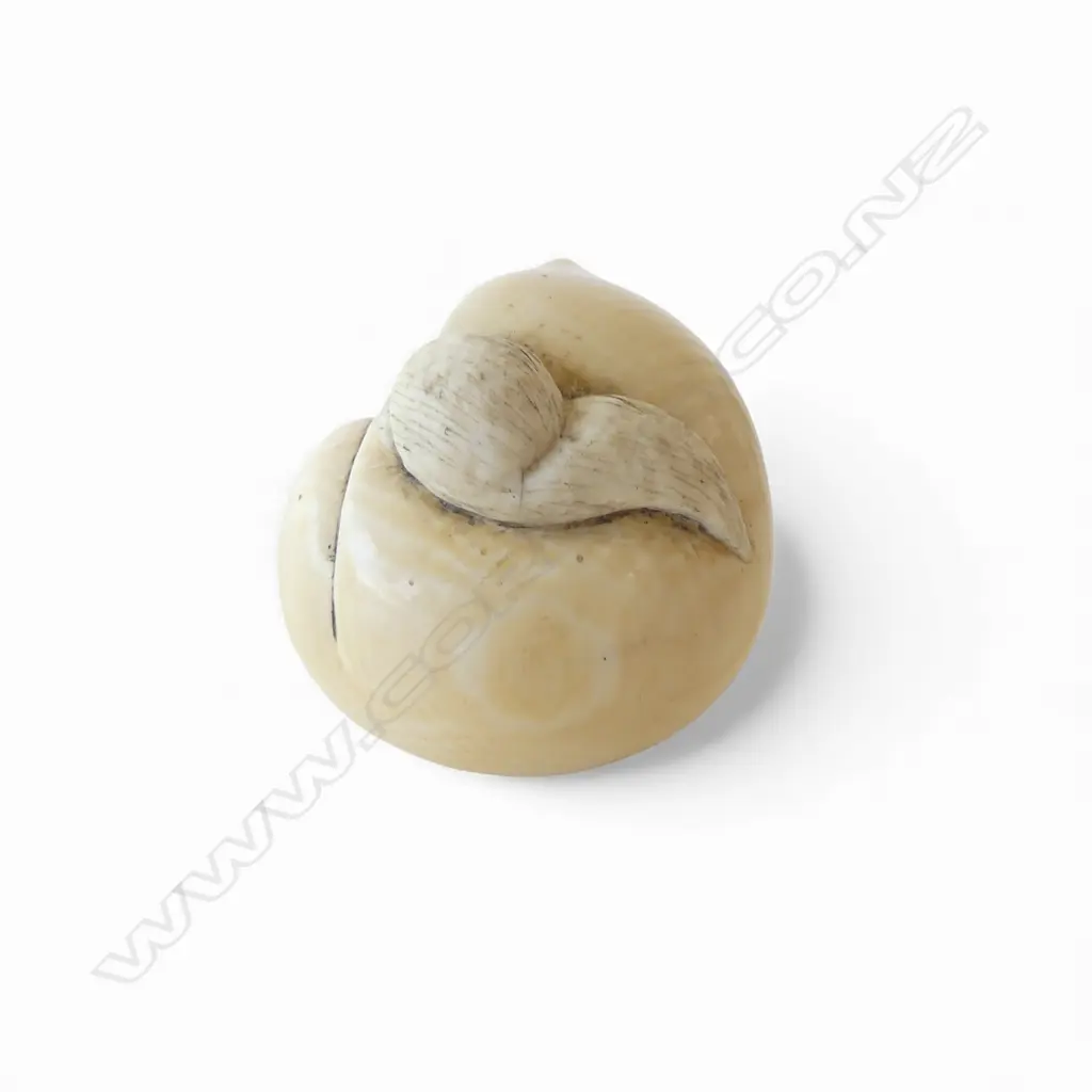 MEIJI PERIOD IVORY NETSUKI daruma, signed H.38mm Image 1++