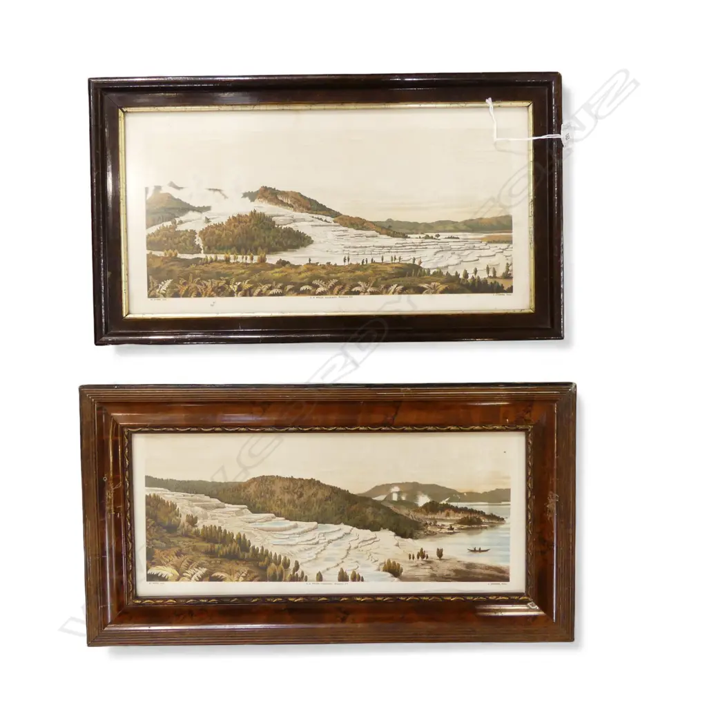 2 NZ PINK & WHITE TERRACES PRINTS 200x400mm Image 1++