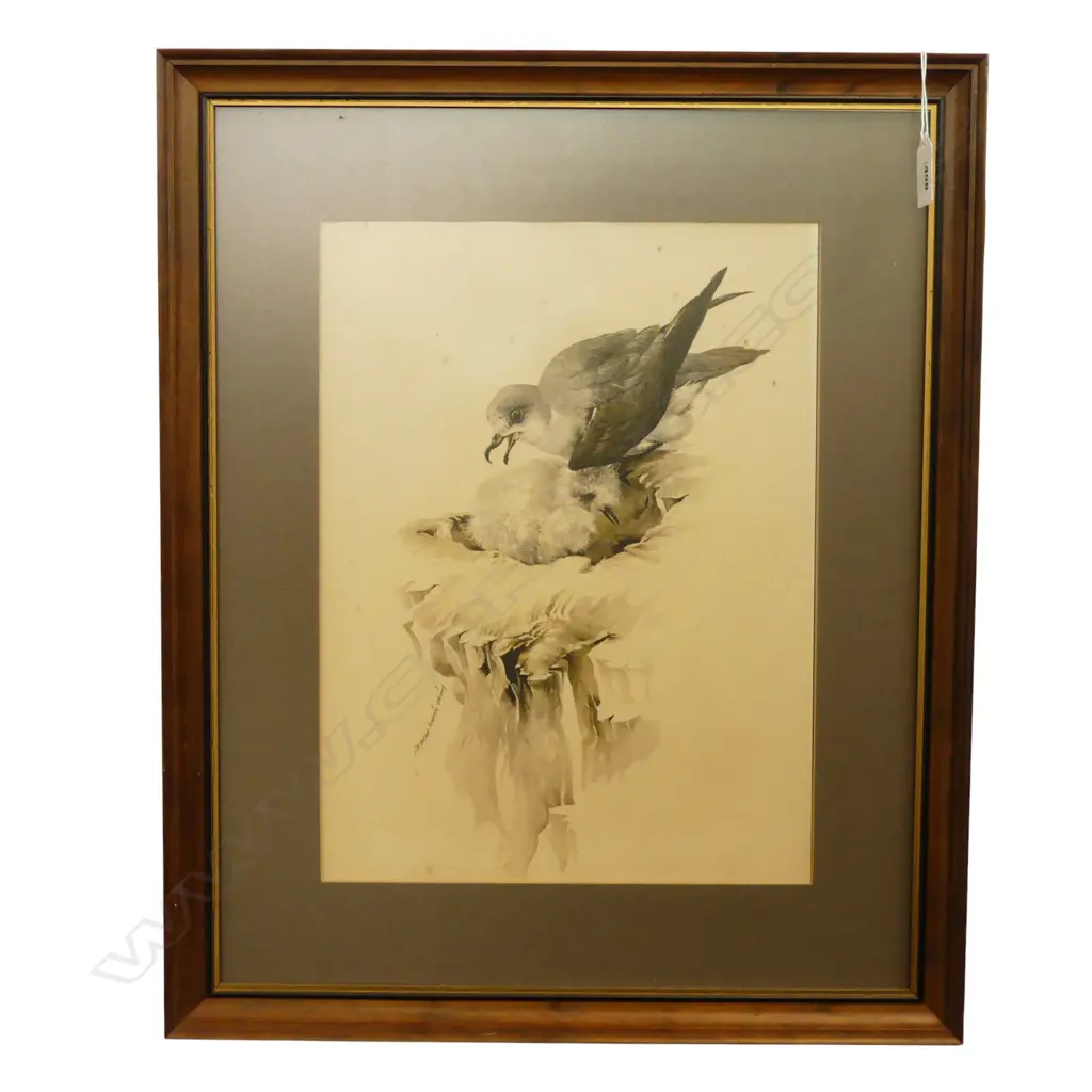 RAYMOND CHING FRAMED PRINT 345x260mm Image 1++