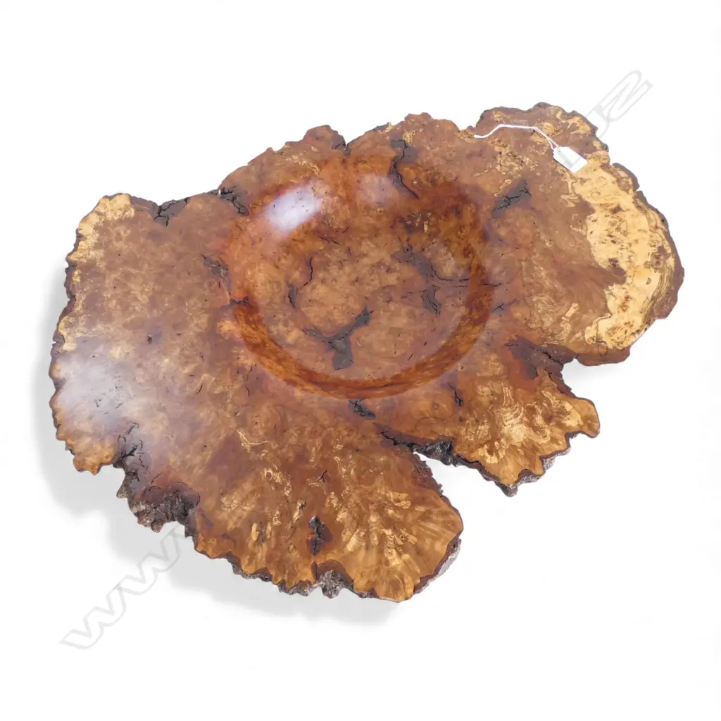 SILVER BIRCH CARVED 'Living Edge' 1995 BURL WOOD BOWL by Karl Lenihan W.650mm  Image 1++