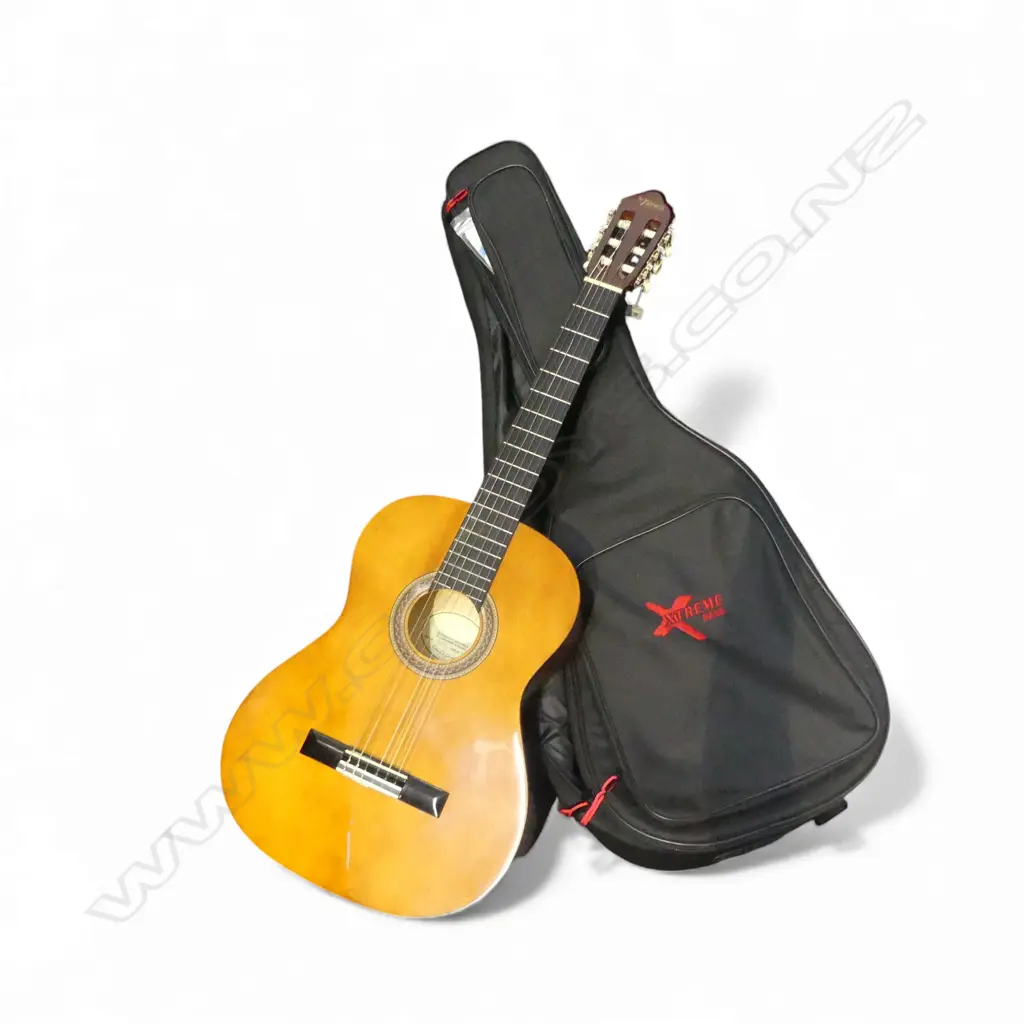 ACOUSTIC GUITAR + SOFT BAG + NEW PKT STRINGS Image 1++