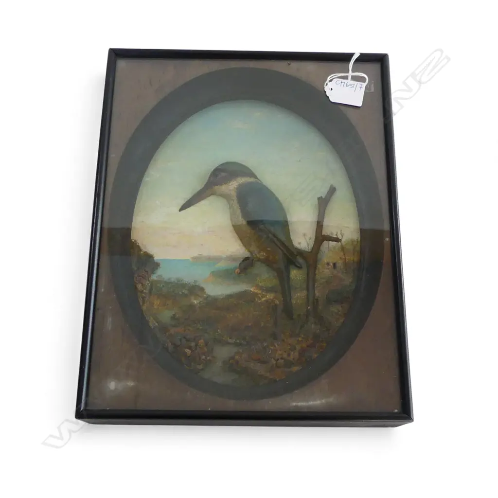 KINGFISHER DIORAMA 270x65x345mm Image 1++