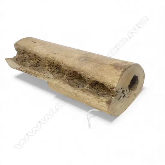 NEARLY SOLID OLD MAMMAL BONE JAW SECTION L.290mm. 3KG. Ex. the estate of a carver who worked c1960/70