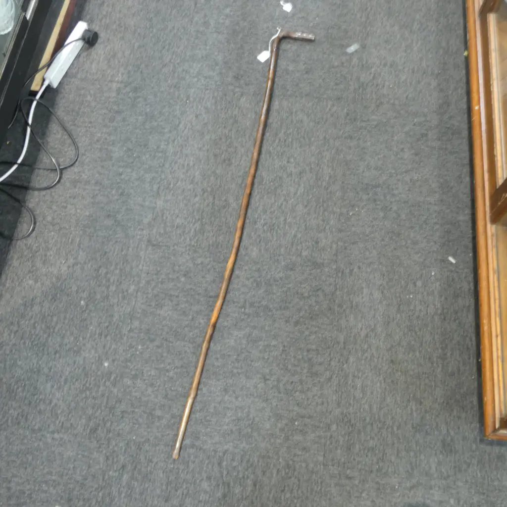 WALKING STICK L.1270mm Image 1++