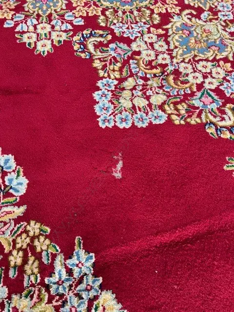 Very large Persian Kerman hand knotted carpet w curvilinear tendril design. Red ground. 4000 x3030mm. Some insect damage Image 1++