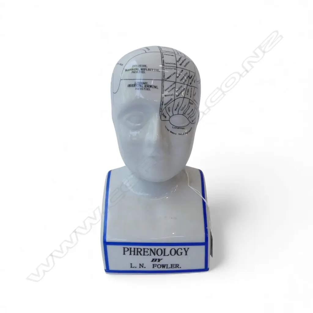 PORCELAIN PHRENOLOGICAL HEAD H.280mm Image 1++
