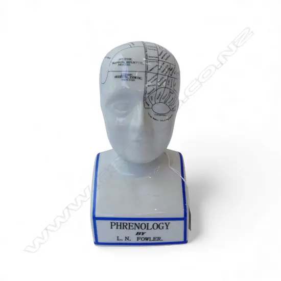 PORCELAIN PHRENOLOGICAL HEAD H.280mm