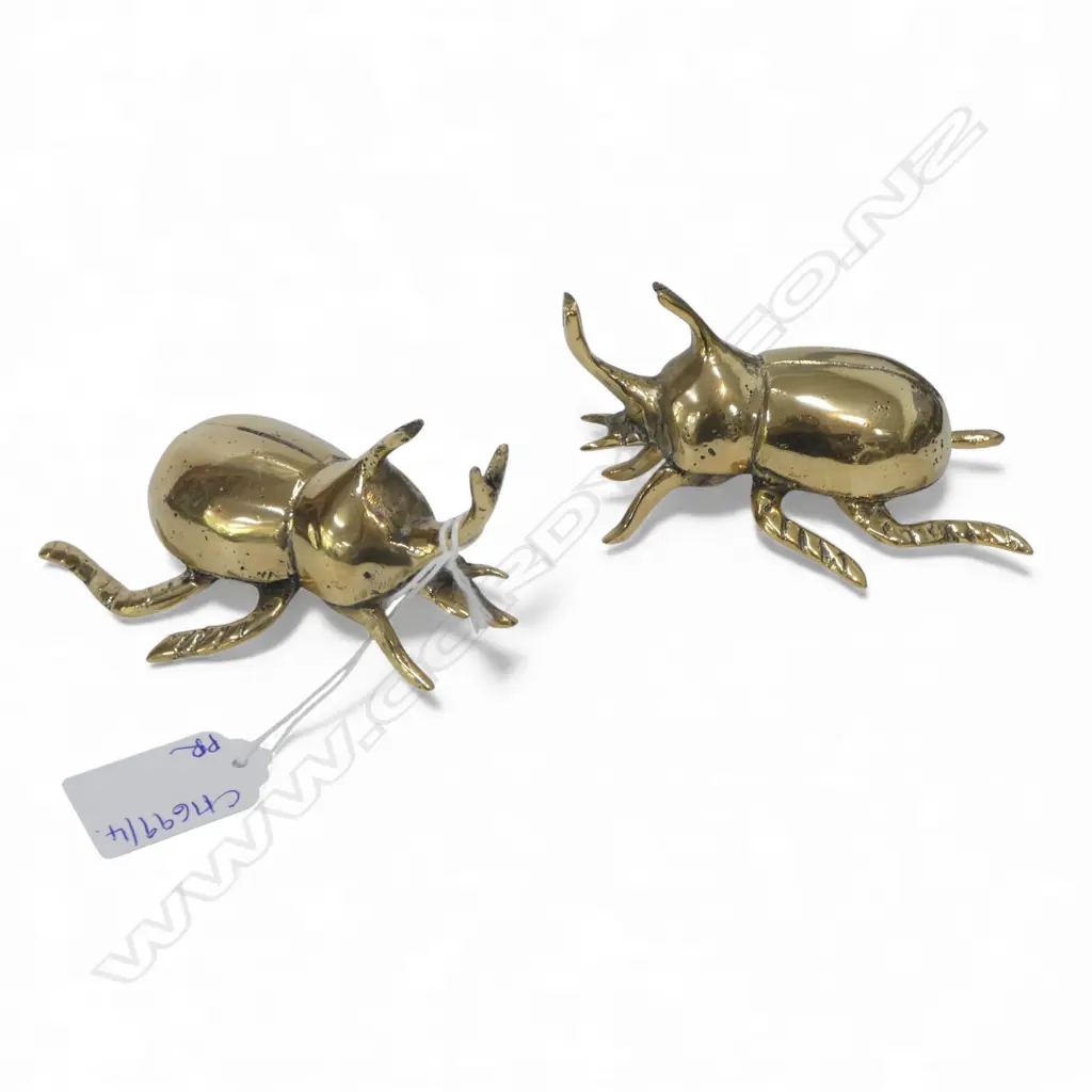 2 BRASS  STAG BEETLES L.100mm Image 1++