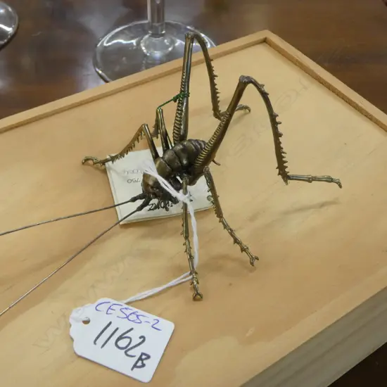 KEN AUTON BRONZE MALE CAVE WETA Ed. 171/750 L.425mm