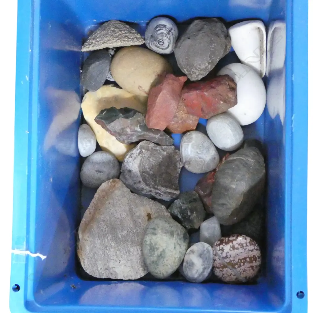 BOX OF ROCKS: includes ventifacts (wind sculpted) + river worn + coloured etc Image 1++