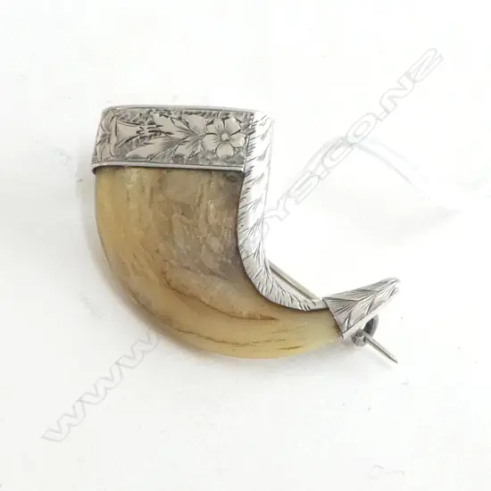 19thC STG SILVER MOUNTED TIGERS CLAW BROOCH