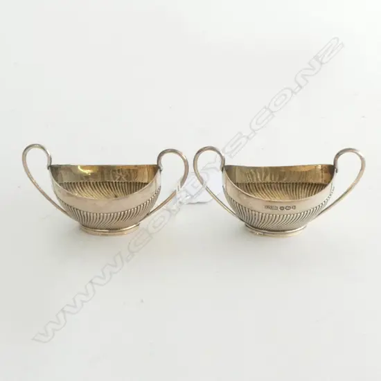 PR S/S 2 HANDLED SALTS 73G