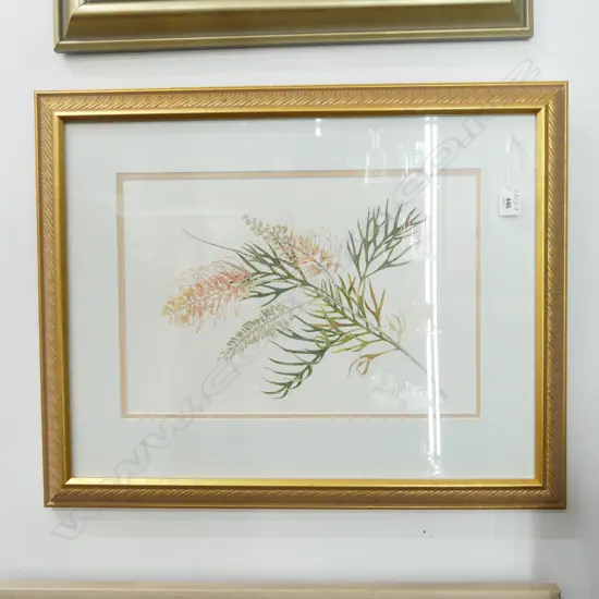 Beverley Irwin (Australian) 'Grevillea Superb' botanical watercolour Signed 285 x 425mm. Gilt framed