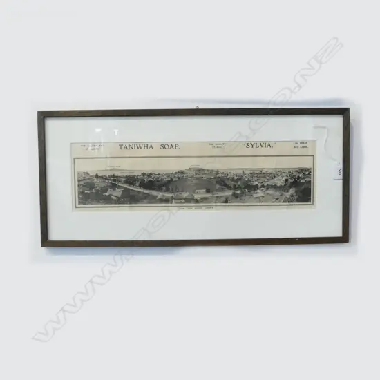 TANIWHA SOAP PANORAMA OF DEVONPORT C.1900 140x495mm