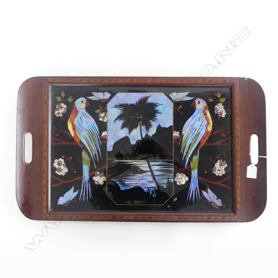 VINTAGE BUTTERFLY WING TRAY 'RIO - BRAZIL' 390x655mm GLASS CRACKED