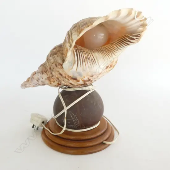 VINTAGE CONCH SHELL & COCONUT LAMP H.310mm