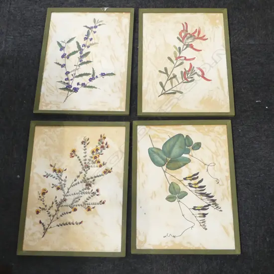 4 FRAMED BOTANICAL STUDIES 385x285mm (FAULTS)