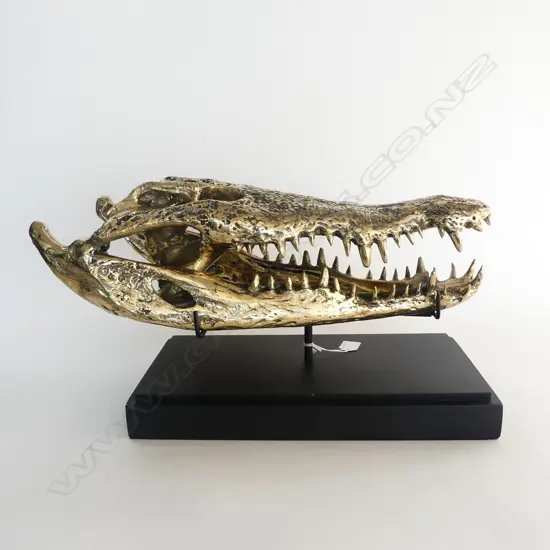 BRONZE CROCODILE SKULL ON STAND 500x210x280mm