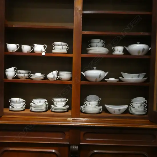 ARZBERG PART DINNER SET