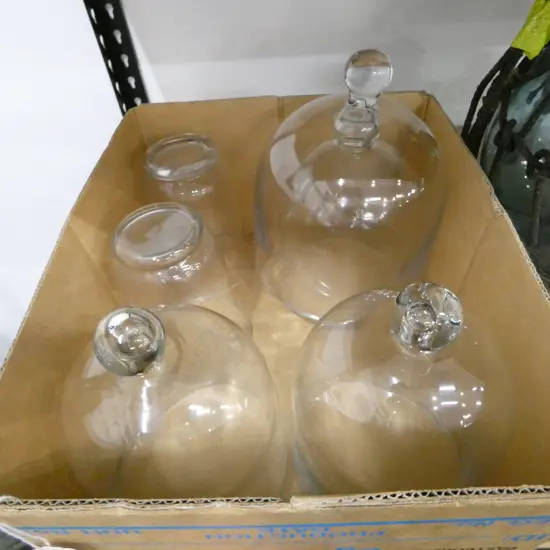 4 GLASS CLOCHE & 2 GLASS VASES