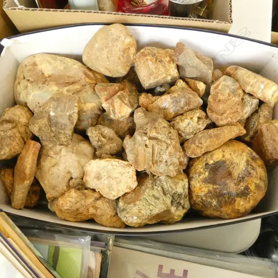 COLLECTION OF  KAURI GUM