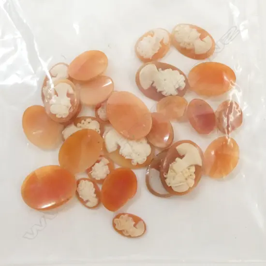 ASST VINTAGE SHELL CAMEOS 