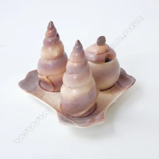 CARLTONWARE CHINA 4PC SHELL PAT CONDIMENT SET L160MM