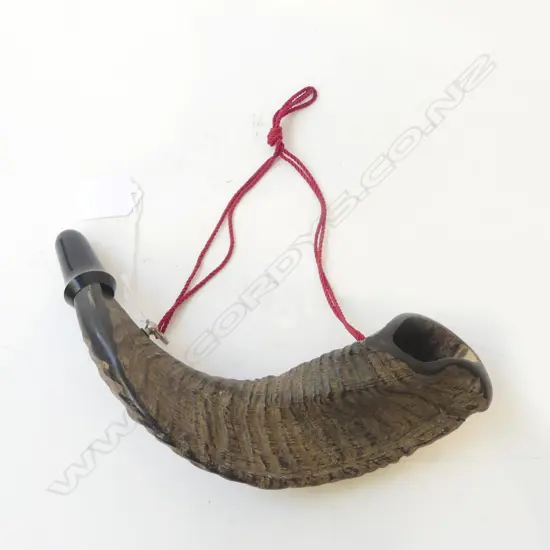 HORN MADE FROM A GOAT HORN L.240mm